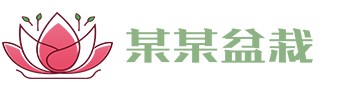爱游戏(中国)axy·官方网站 - 登录入口